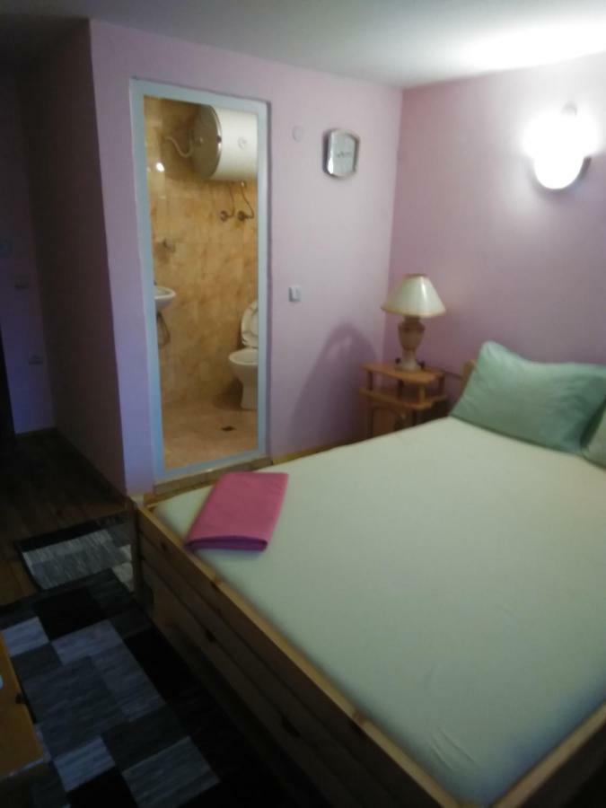 Family Hotel Shisharka باتاك المظهر الخارجي الصورة